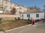 DSCN0709