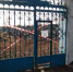 IMG-20200417-WA0019.jpg - Благодарненский городской округ