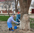 20210402_132624 - Центр соцобслуживания населения
