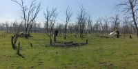 1..jpeg - Благодарненский городской округ